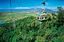 Spectacular Views form Skyrail