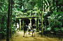 2 Day Great Barrier Reef & Waterfalls. Wildlife, Paronella Park tour