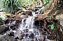 Russell River Full Day Sports Rafting Ex Port Douglas (Season starts 01 Jan 2013)