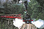 Puffing Billy letting off steam