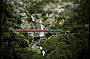 Kuranda Scenic Rail at Stoney Creek Falls
