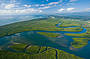 Daintree River