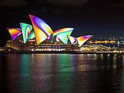 Vivid Sydney Cruise - Dinner 5.30pm