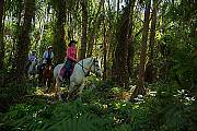 Horse Riding Combo Tour