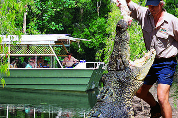 Boat Cruise in Hartley's Lagoon